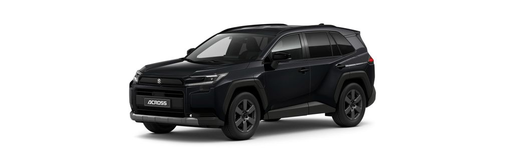 Suzuki Nueovo Across