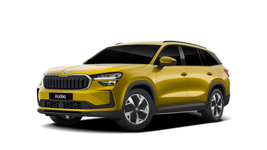 Interessato a Škoda Nuovo Kodiaq