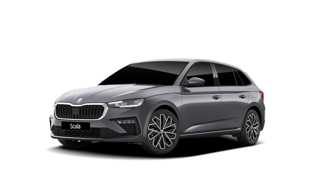 Interessato a Škoda Nuova Scala