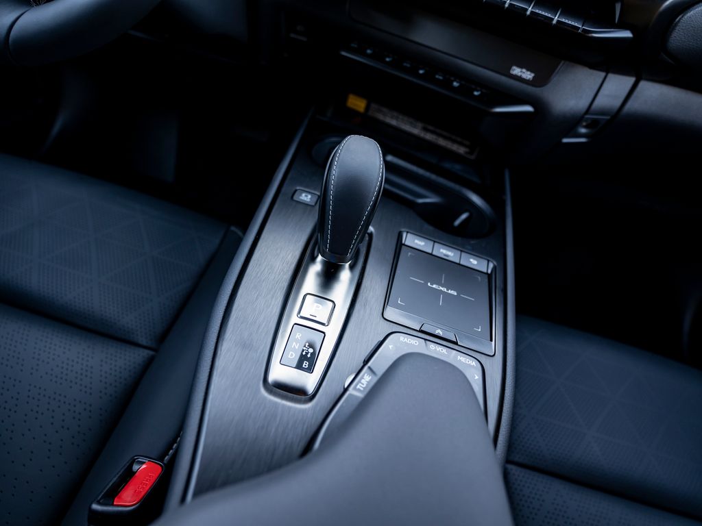 Lexus UX 300e