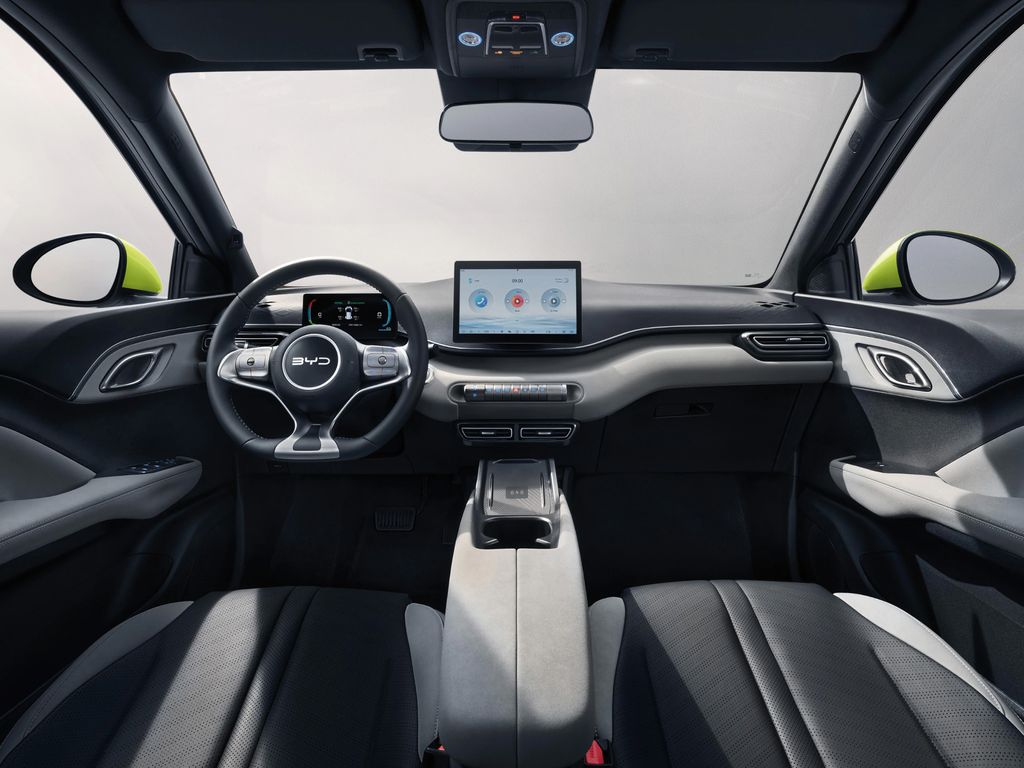 BYD Dolphin Surf