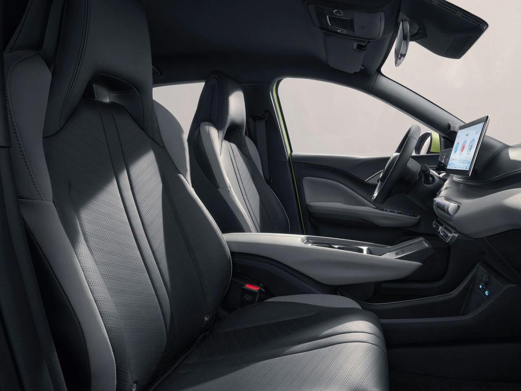 BYD Dolphin Surf