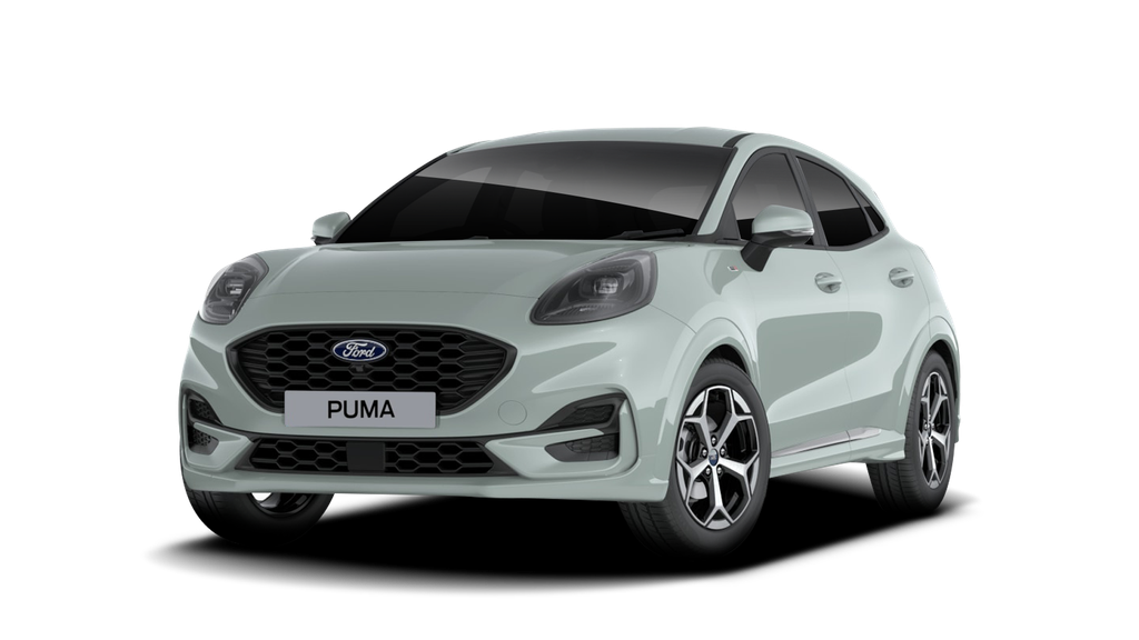 Interessato a Ford Nuova Puma