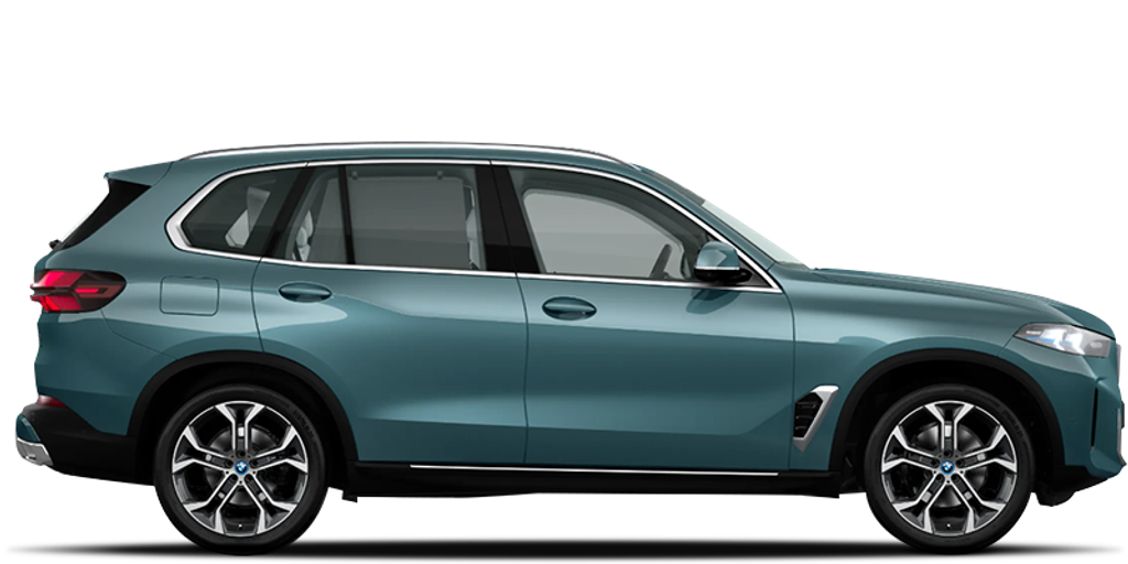 BMW Nuevo BMW X5 - xDrive30d