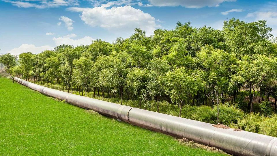 Ahorra con el GPL: los coches más vendidos en España