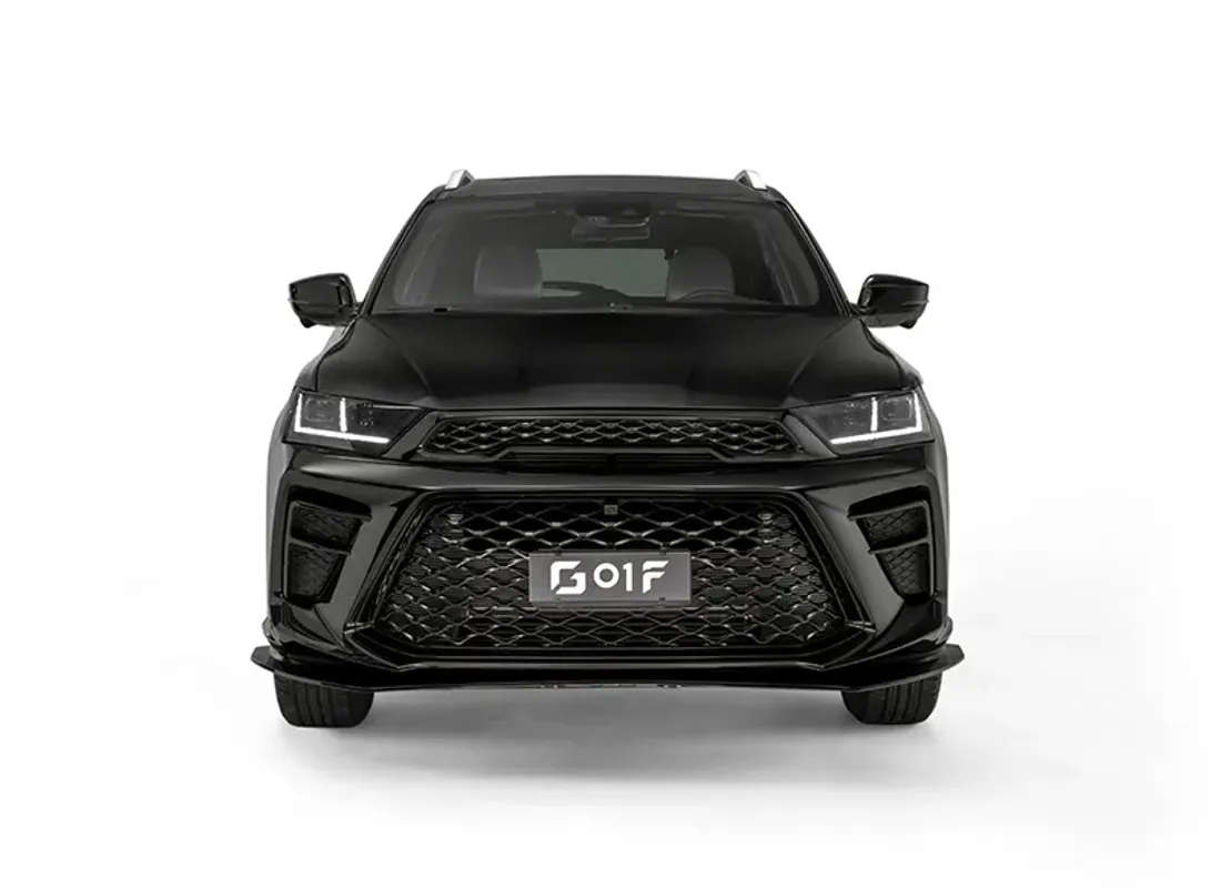 SWM G01F